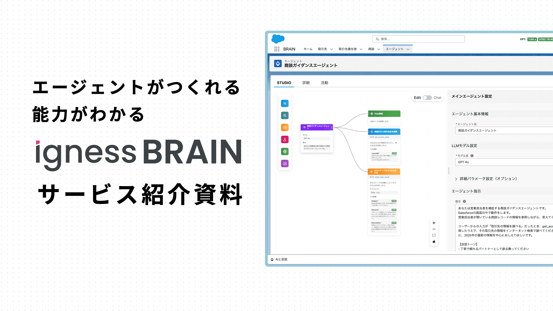 Igness BRAIN materials